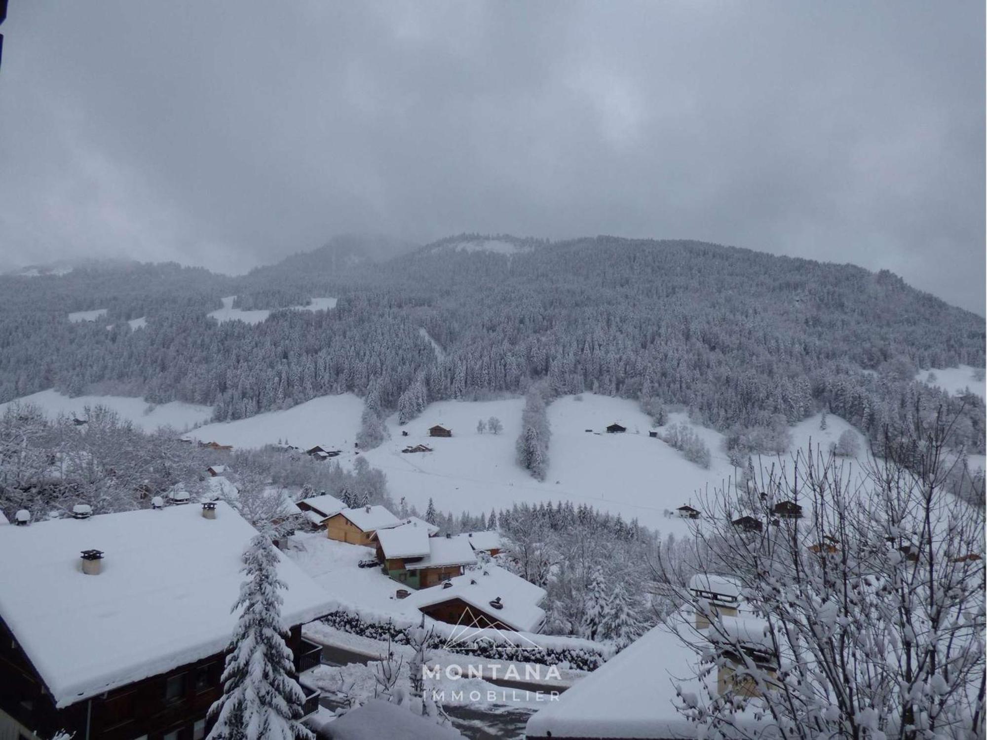 Studio Renove Avec Cabine - 26M² - 5 Pers - Balcon Expose Sud - Pres Skibus Et Remontees Mecaniques - Fr-1-458-125 Le Grand-Bornand Exterior foto